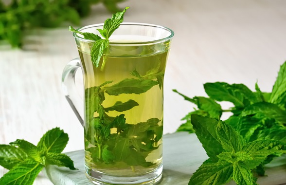 Mint infusion for weight loss.